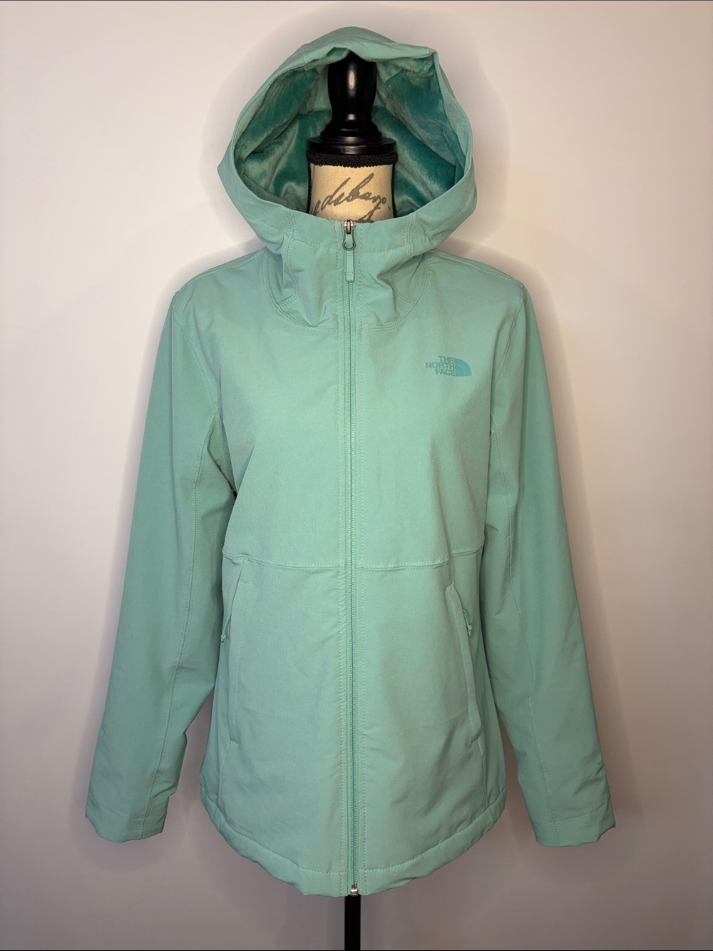 The North Face Shelbe Raschel Windwall zip front plush fleece lined jacket L